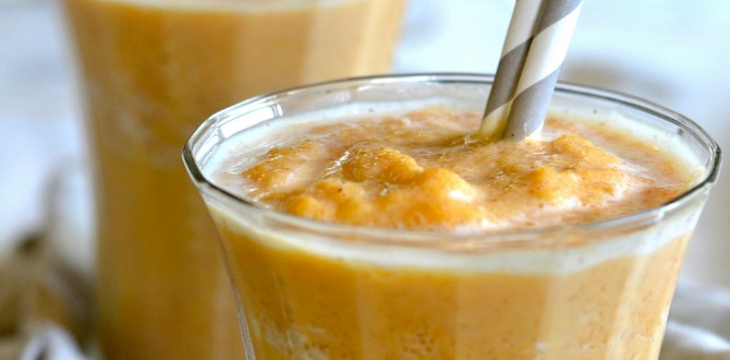 The Health Benefits of Pumpkin (with a Bonus Pumpkin Smoothie Recipe!) The Health Benefits of Pumpkin (with a Bonus Pumpkin Smoothie Recipe!)