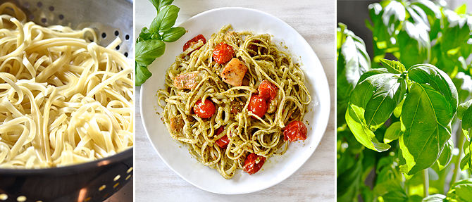 Chicken-Pesto Linguine Chicken-Pesto Linguine
